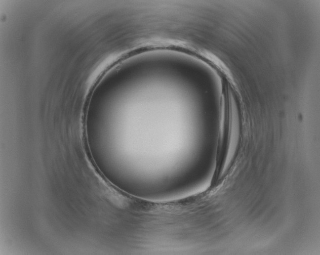 X0000073701183200608031207