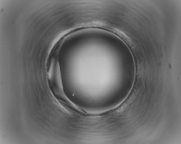 X0000073701184200608031207