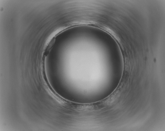 X0000073701187200608031207