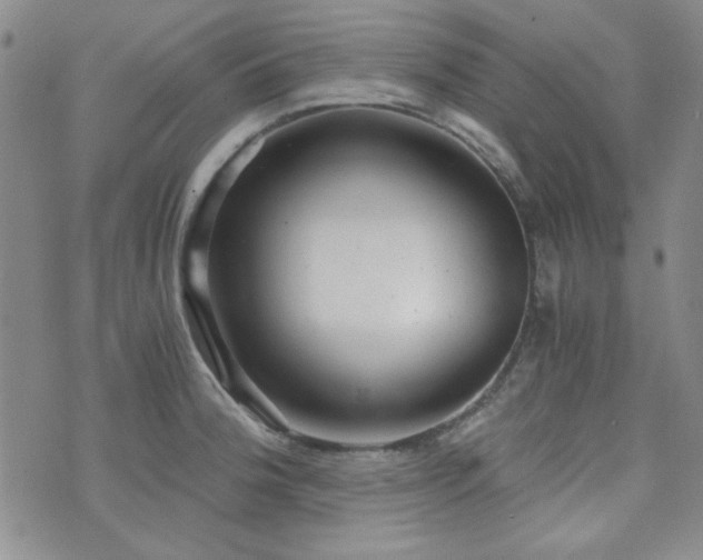 X0000073701188200608031207