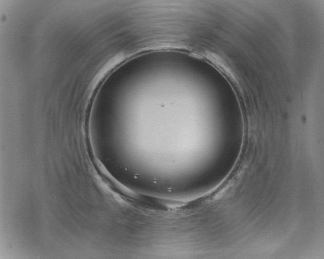 X0000073701189200608031207