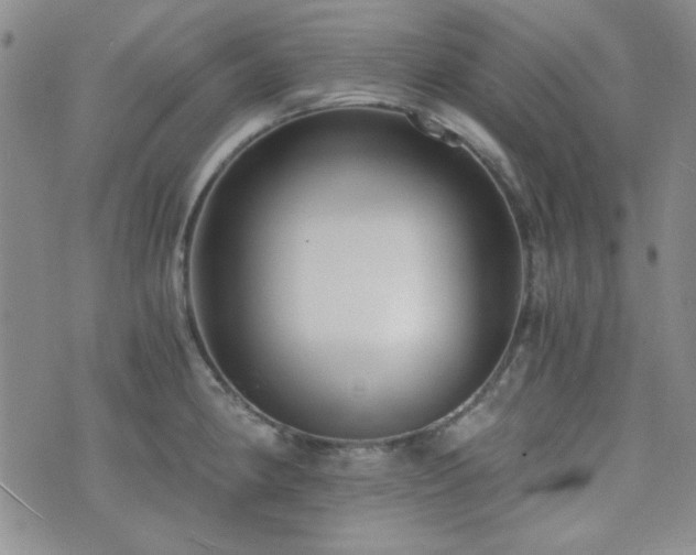 X0000073701190200608031207