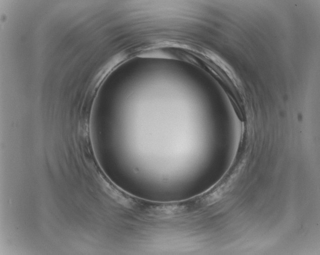 X0000073701193200608031207