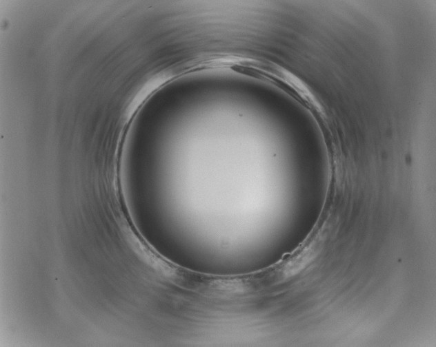 X0000073701194200608031207