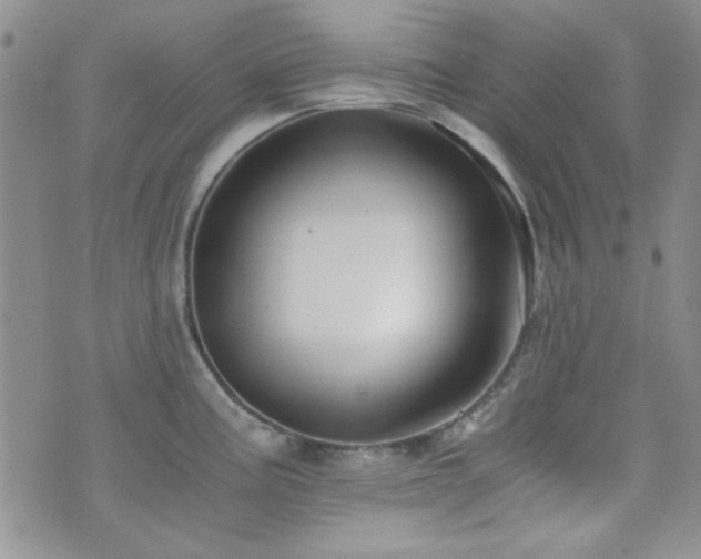 X0000073701195200608031207