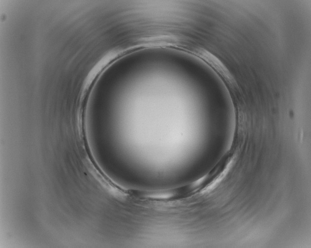 X0000073701196200608031207