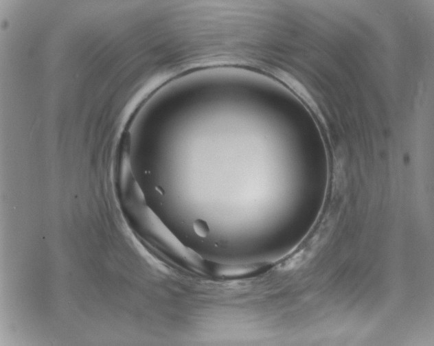 X0000073701197200608031207