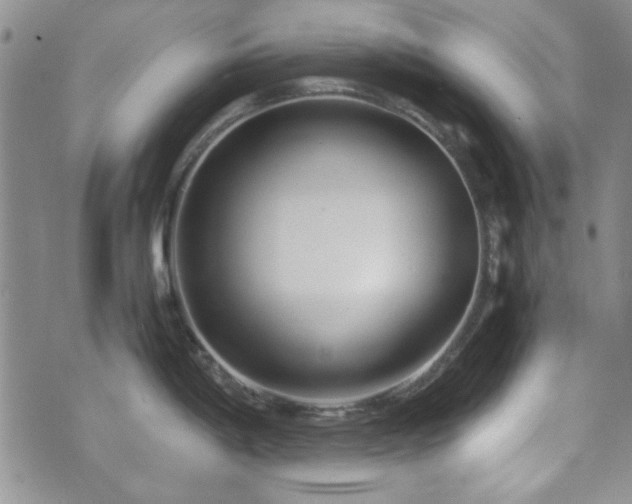 X0000073701198200608031207