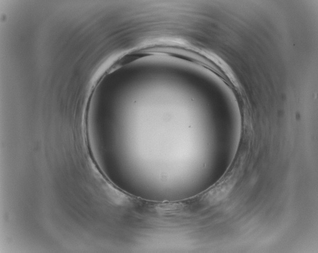 X0000073701199200608031206