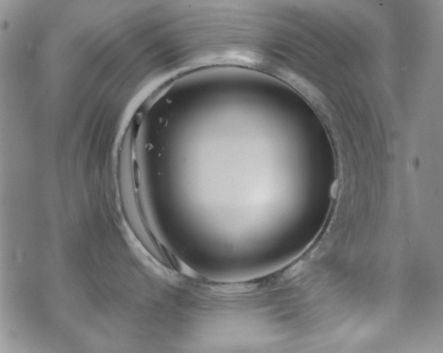 X0000073701200200608031206