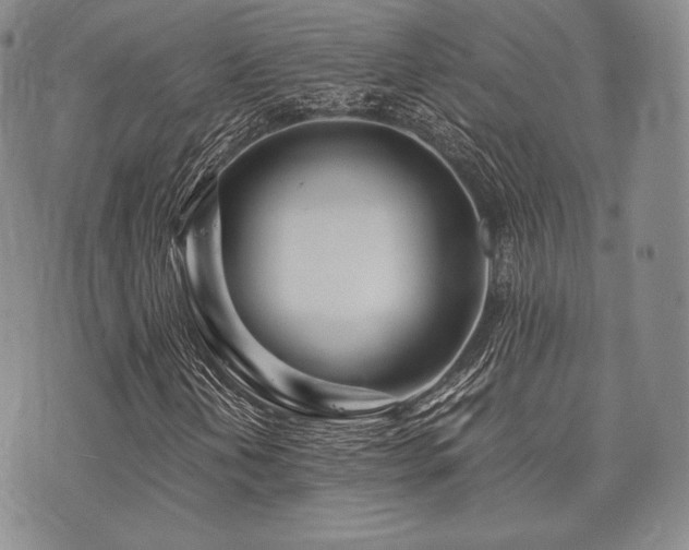 X0000073701202200608031206