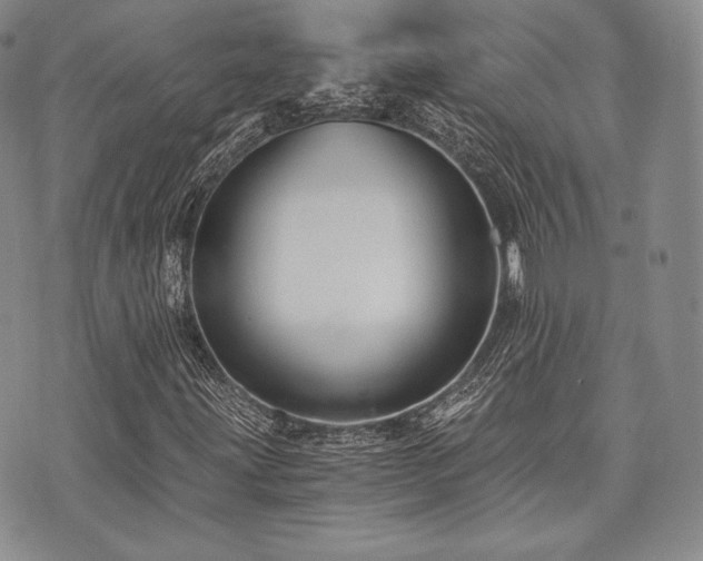 X0000073701203200608031206