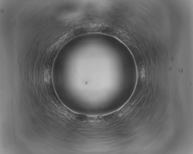 X0000073701204200608031206