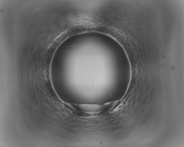 X0000073701205200608031206