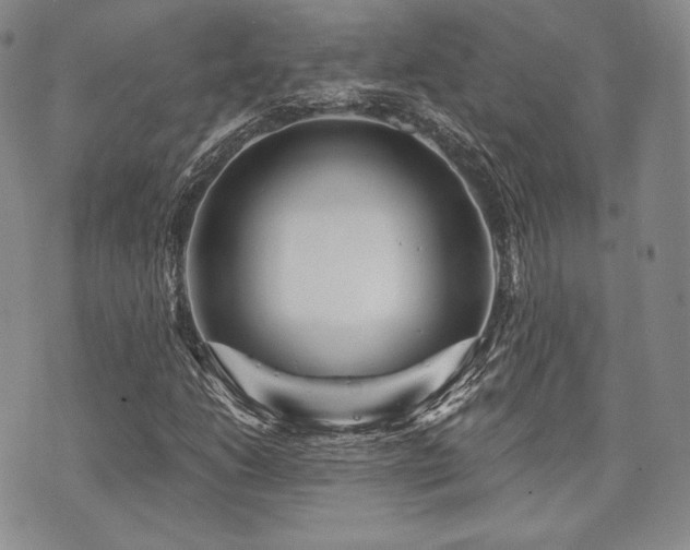 X0000073701206200608031206