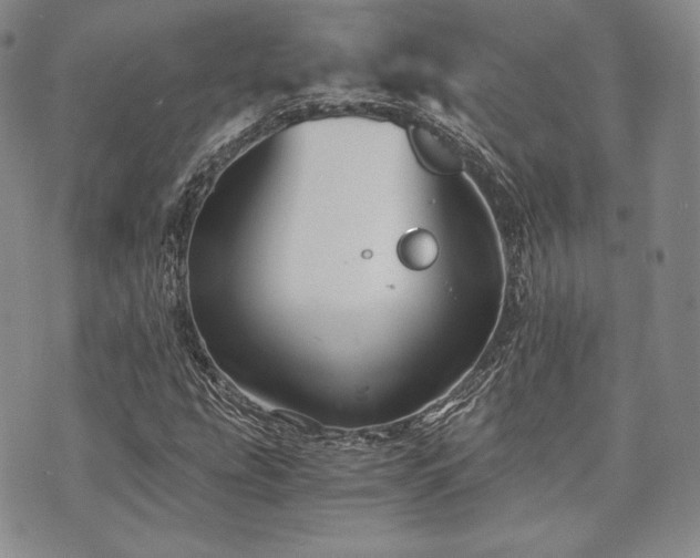 X0000073701207200608031206