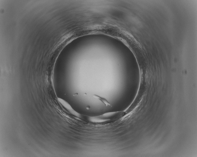 X0000073701209200608031206