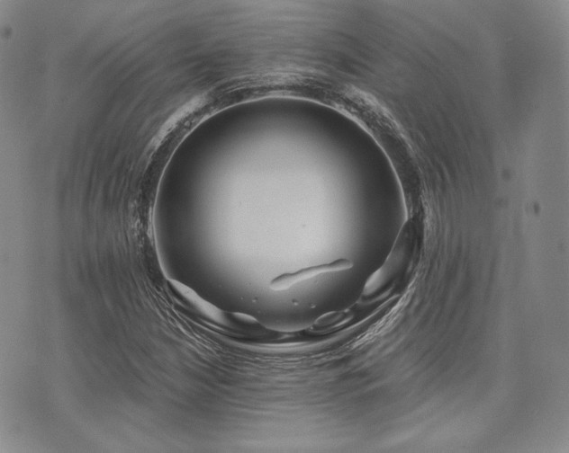 X0000073701210200608031206