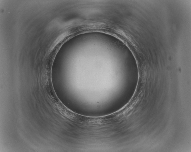 X0000073701211200608031206