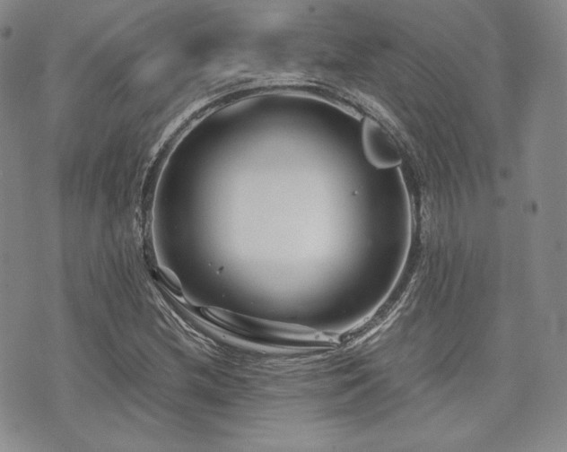 X0000073701212200608031206