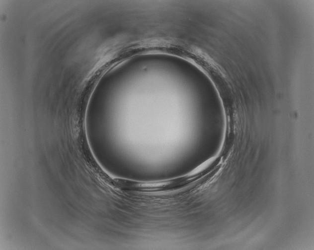 X0000073701213200608031206