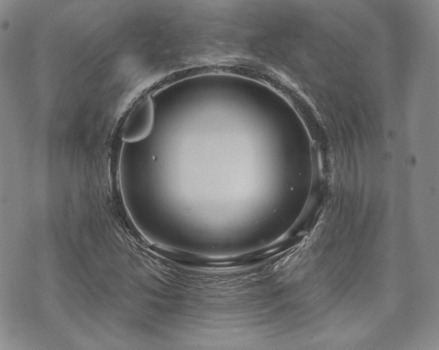 X0000073701214200608031206