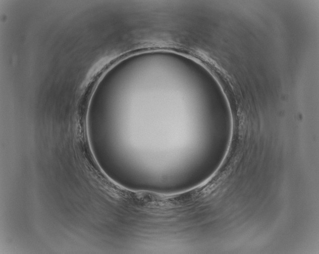 X0000073701215200608031206