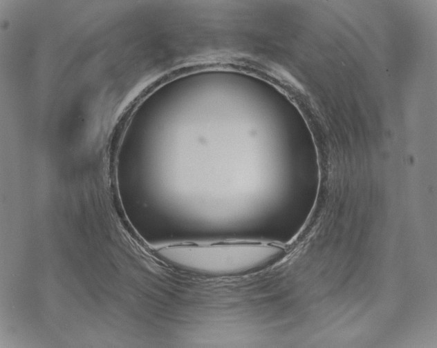 X0000073701216200608031206