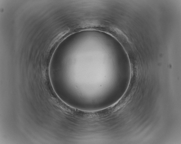 X0000073701217200608031206