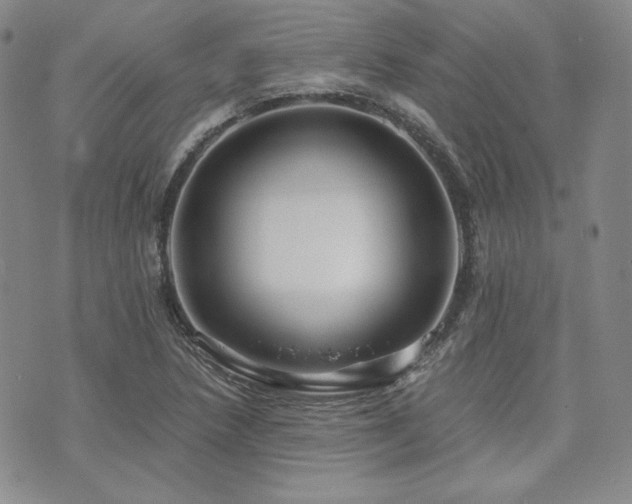 X0000073701218200608031206