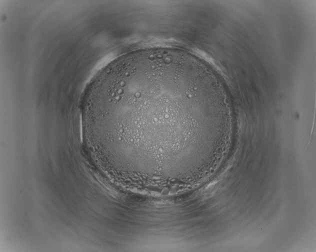 X0000073701219200608031206