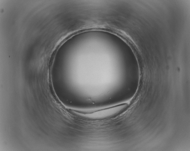 X0000073701220200608031206