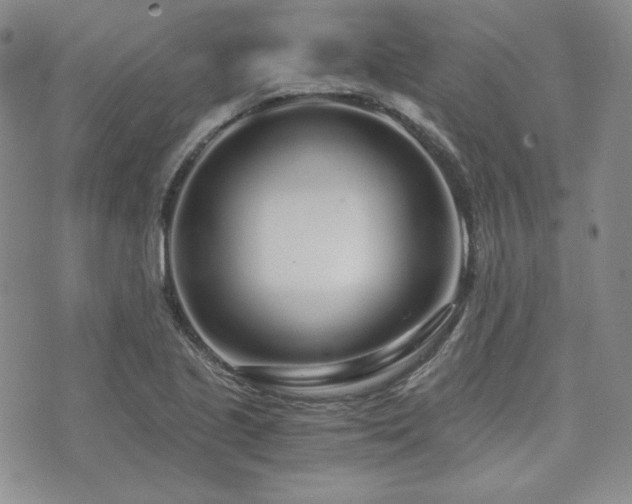 X0000073701221200608031206