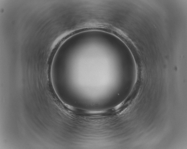 X0000073701222200608031206