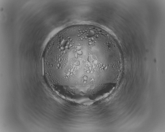 X0000073701223200608031206