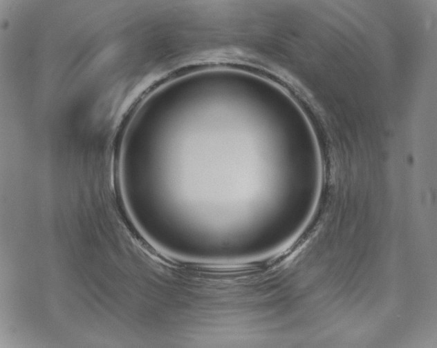 X0000073701224200608031206