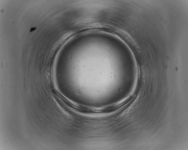 X0000073701225200608031206