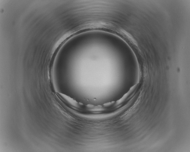 X0000073701226200608031206