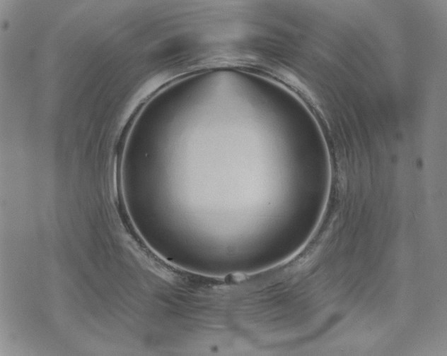 X0000073701227200608031206