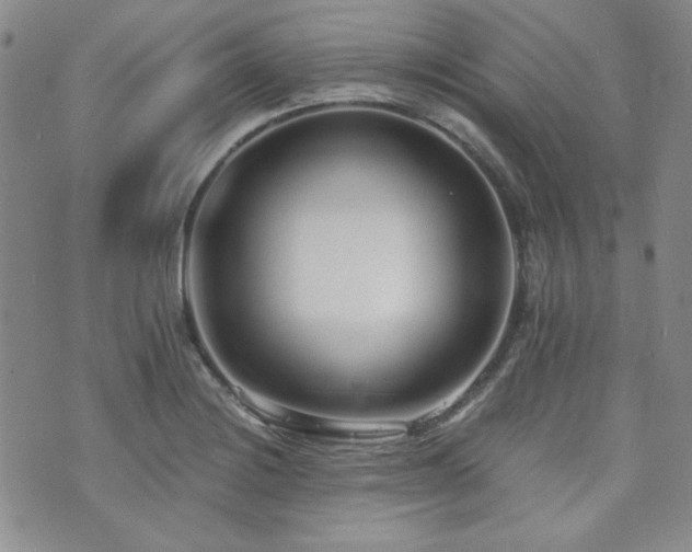 X0000073701228200608031206