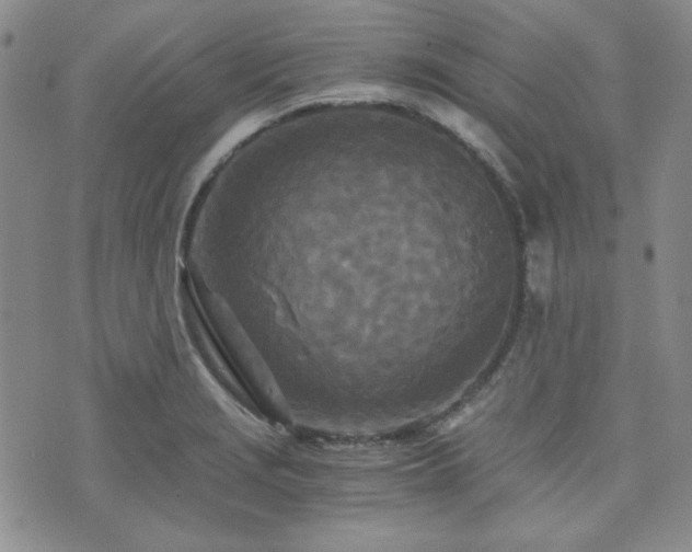 X0000073701229200608031206