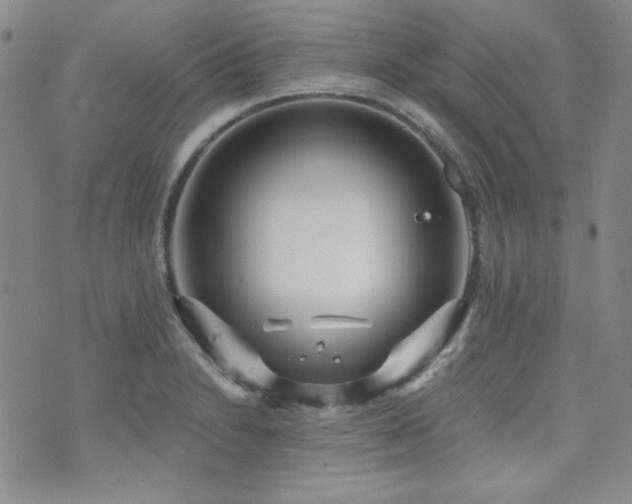 X0000073701230200608031206