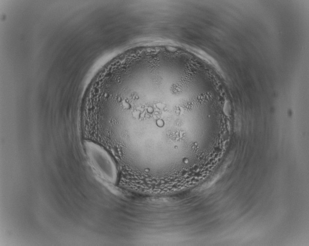 X0000073701231200608031206