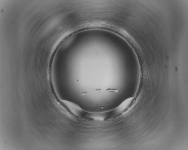 X0000073701232200608031206