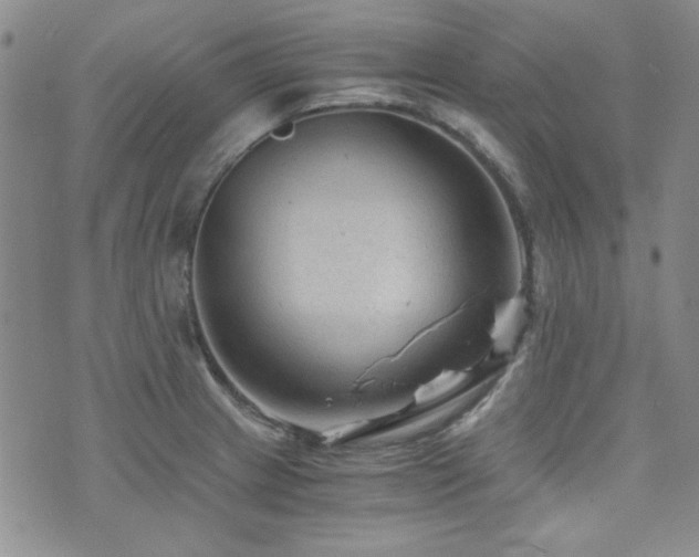 X0000073701233200608031206