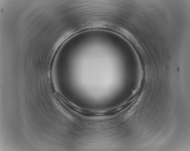 X0000073701234200608031206