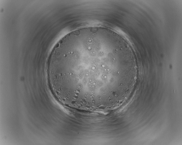 X0000073701235200608031206