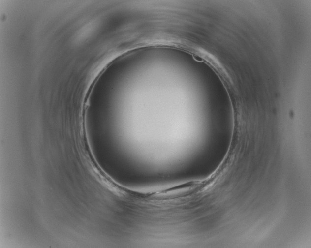 X0000073701236200608031206