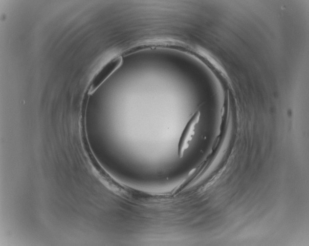 X0000073701237200608031206