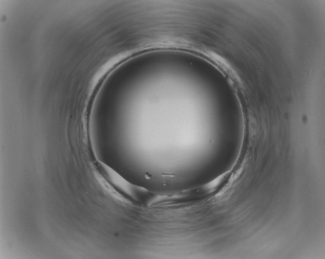 X0000073701238200608031206